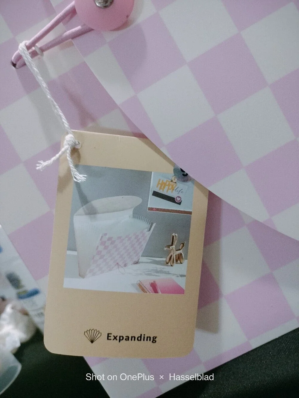 Pink & White Checkered Expandable 13-Pocket Folder